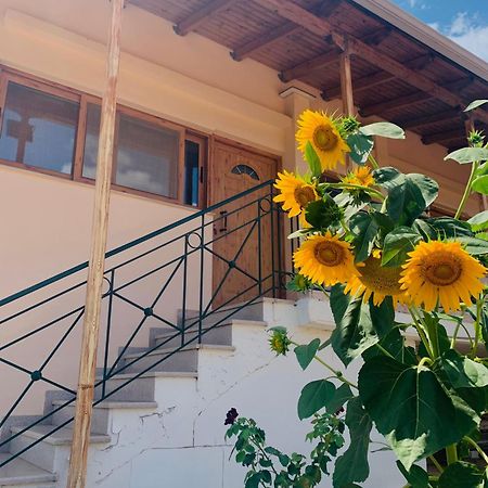 Bokas Exotic House Apartment Tragana  ภายนอก รูปภาพ