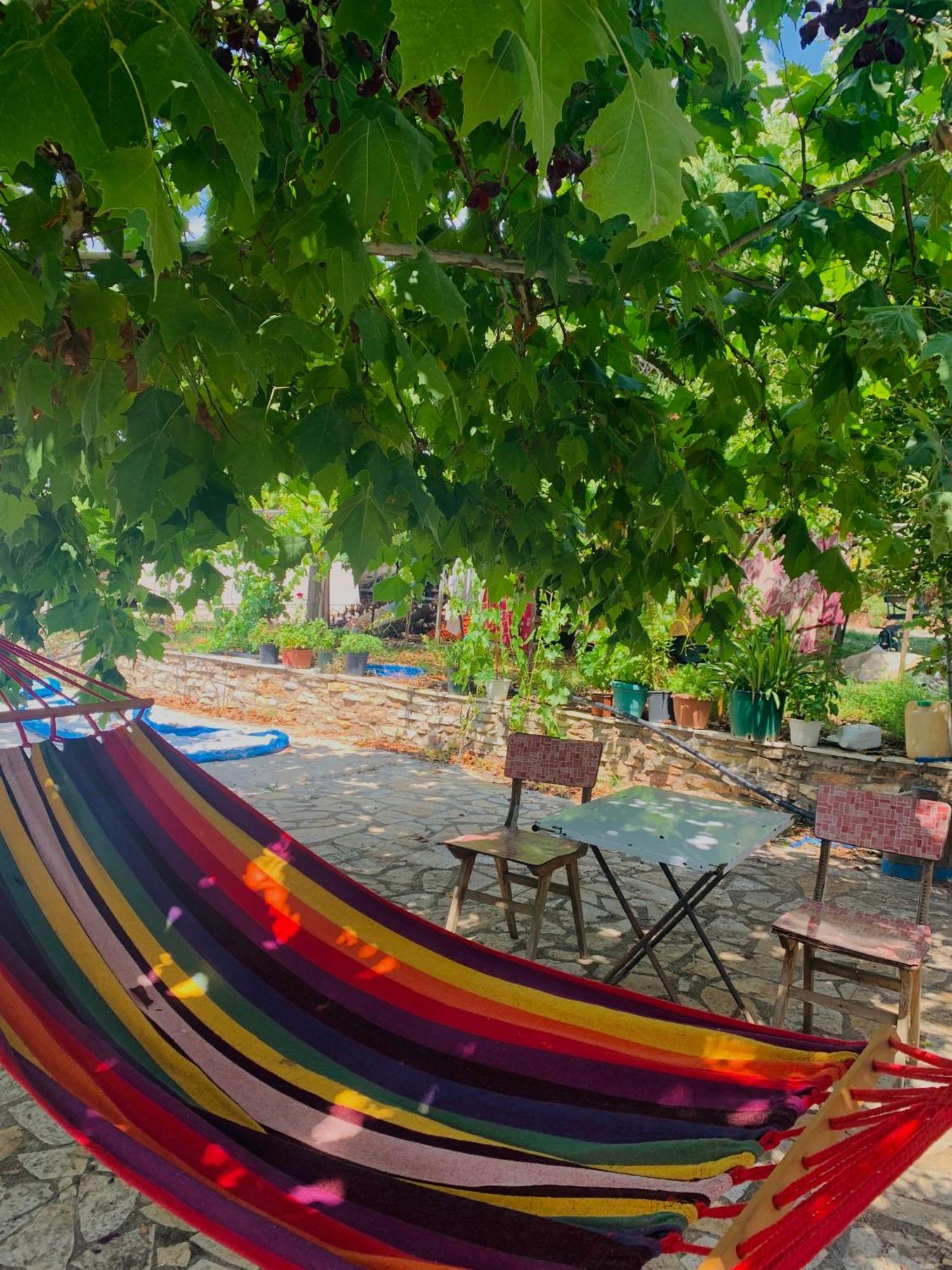 Bokas Exotic House Apartment Tragana  ภายนอก รูปภาพ