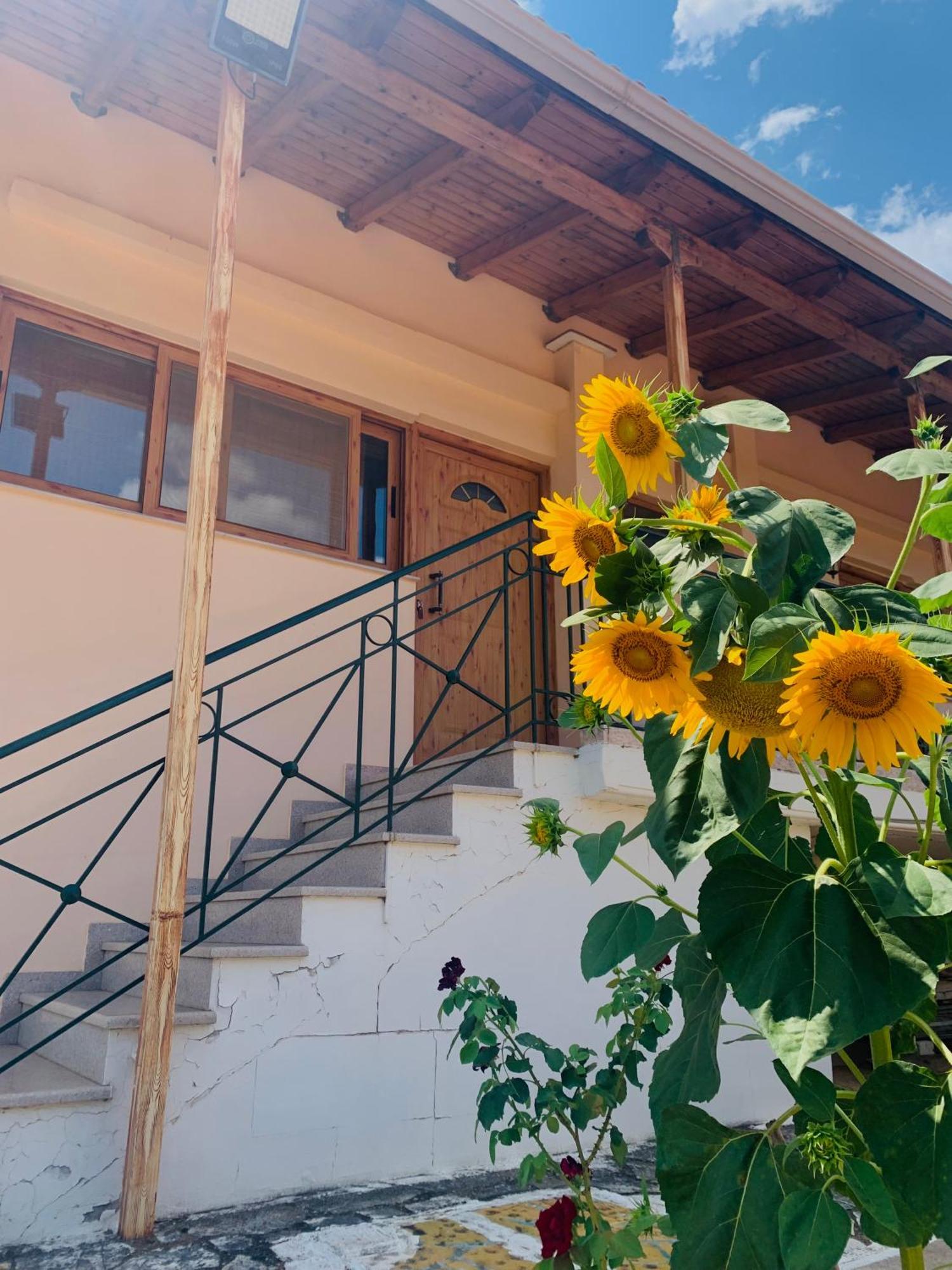 Bokas Exotic House Apartment Tragana  ภายนอก รูปภาพ